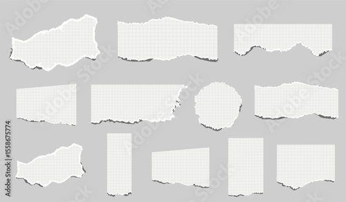 torn pieces of checkered paper. Notebook sheet pieces with torn edges. Ripped checkered Paper Torn Edges. Piece of smooth ripped checkered paper. lined and crumpled effect

