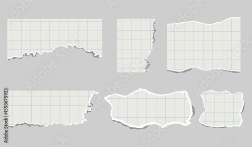 torn pieces of checkered paper. Notebook sheet pieces with torn edges. Ripped checkered Paper Torn Edges. Piece of smooth ripped checkered paper. lined and crumpled effect
