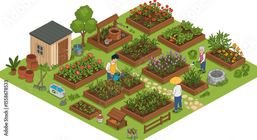 Community gardening scene vector illustration in isometric style for eco-friendly design
