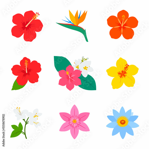 The image displays a grid of nine stylized tropical flowers each with unique colors and shapes
