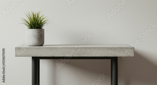 A potted plant on a concrete table with metal legs against a plain white wall background indoors