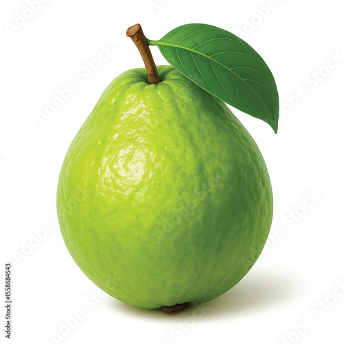 guava  colorful vector icon with white background
