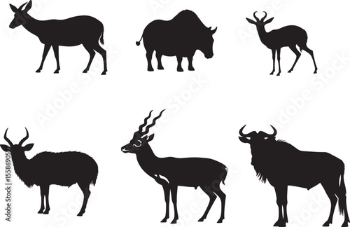 Mix animal in silhouette white background.drawing.