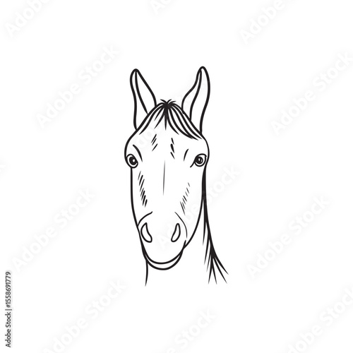 Detailed line drawing of a horse head and neck in black isolated on white background. Hand drawn vector sketch illustration in doodle vintage line art style. Domestic farm animal, friendship