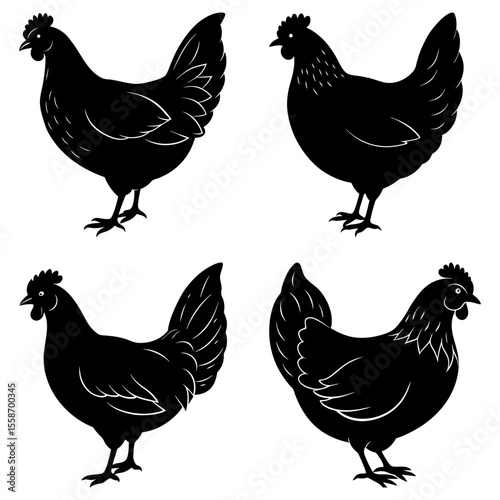 Four black silhouette chickens standing on a white background in different positions and orientations