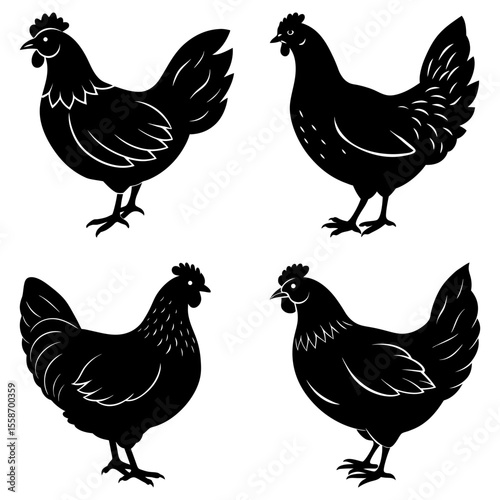 Four black silhouette chickens standing on a white background in various poses and perspectives design
