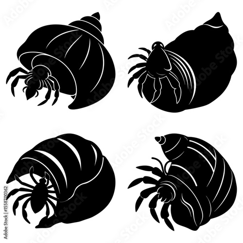 Illustration of four hermit crabs in shells in black and white vector graphic design with detailed legs