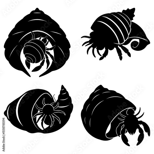 Four black and white silhouette depictions of hermit crabs in various shells on a white background