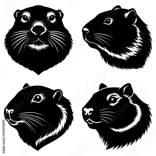 Four groundhog heads in black and white showing different angles and perspectives of the animal faces