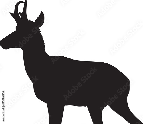 Pronghorn in silhouette pure white background.
