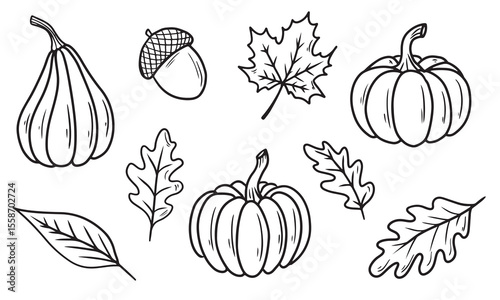 Hand drawn pumpkin ink drawing in black isolated on white background. Vector sketch illustration in doodle engraved vintage line art style. Package design, menu, farm design, autumn leaves, fall.