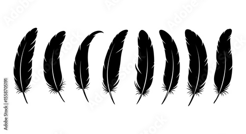 Set of Bird Feather. Feathers vector set in a flat style. Pen icon. Black quill feather silhouette. Plumelet collection isolated on white background. EPS 10