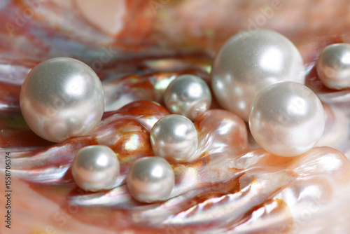 Naturalne perły wewnątrz muszli ostryg