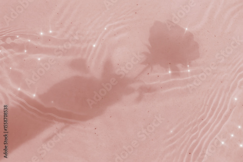 Dreamy rose shadow with water ripples on soft pink surface