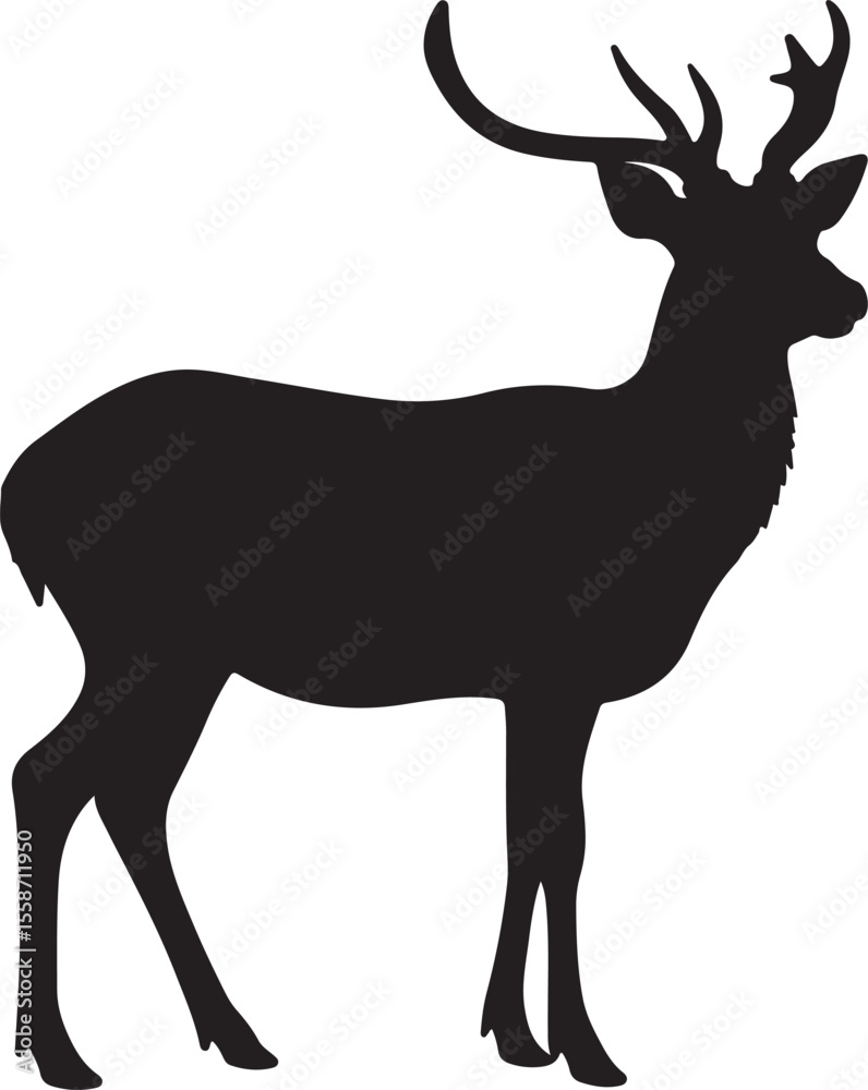 Fototapeta premium Sika Deer in silhouette pure white background.
