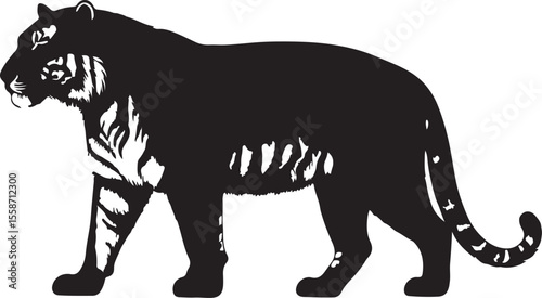 Fotografie Siberian Tiger in silhouette purw white background.