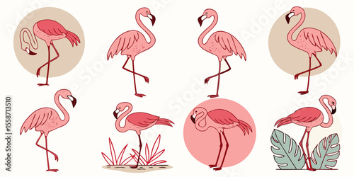 Hand-Drawn Pink Flamingo Vector Set | Tropical Exotic Bird Illustrations