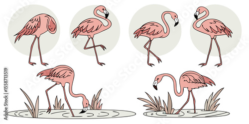 Hand-Drawn Pink Flamingo Vector Set | Tropical Exotic Bird Illustrations