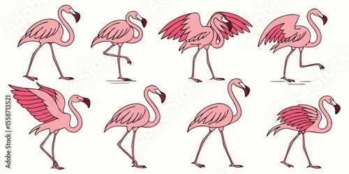 Hand-Drawn Pink Flamingo Vector Set | Tropical Exotic Bird Illustrations