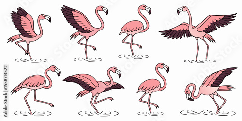 Hand-Drawn Pink Flamingo Vector Set | Tropical Exotic Bird Illustrations