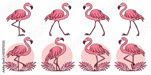 Hand-Drawn Pink Flamingo Vector Set | Tropical Exotic Bird Illustrations
