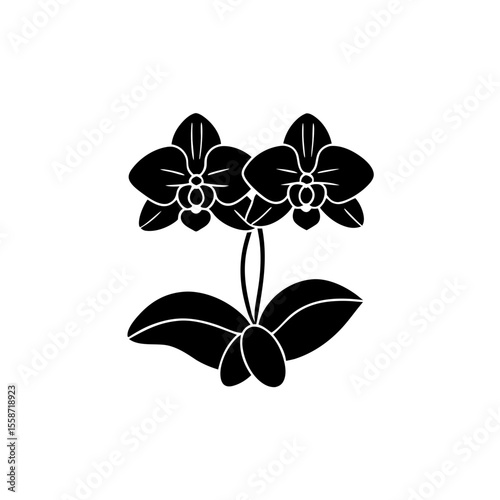 creative Orchids Icon vector silhouette illustration isolated on white background