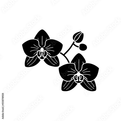 creative Orchids Icon vector silhouette illustration isolated on white background