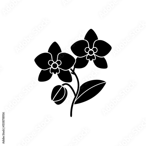 creative Orchids Icon vector silhouette illustration isolated on white background