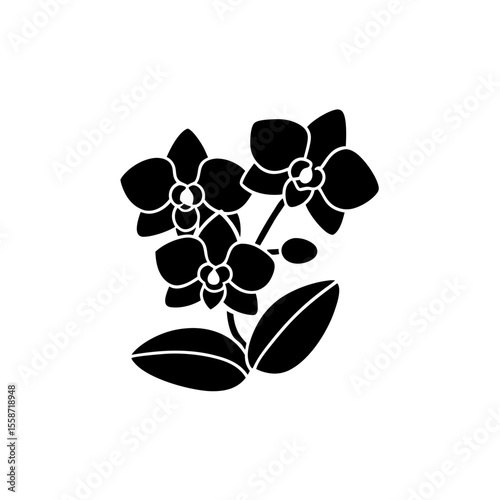 creative Orchids Icon vector silhouette illustration isolated on white background