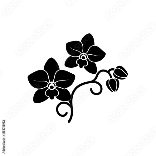 creative Orchids Icon vector silhouette illustration isolated on white background