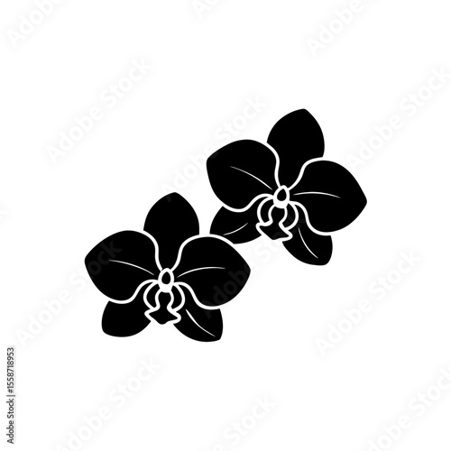 creative Orchids Icon vector silhouette illustration isolated on white background