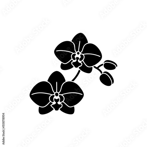 creative Orchids Icon vector silhouette illustration isolated on white background