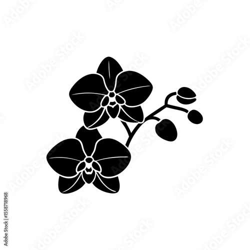 creative Orchids Icon vector silhouette illustration isolated on white background