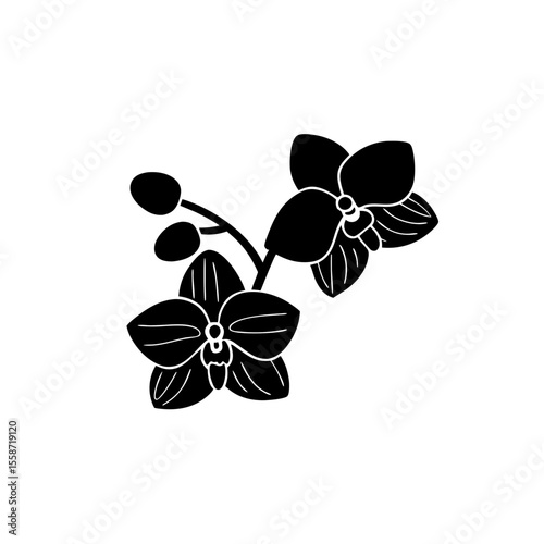 creative Orchids Icon vector silhouette illustration isolated on white background