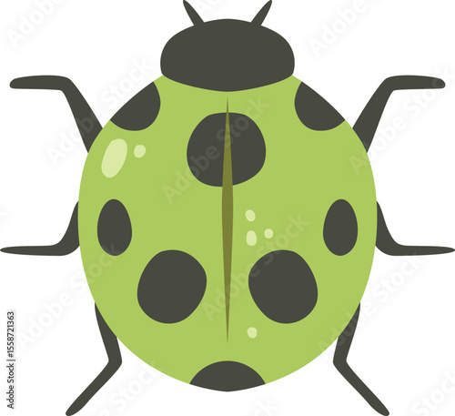 Green Ladybug Beetle Insect Vector Illustration