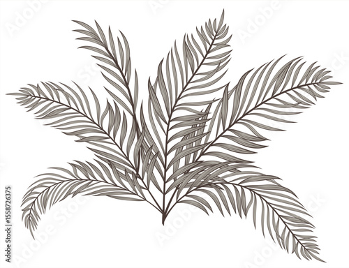 Print Vector illustration of a tropical bush. Vector illustration