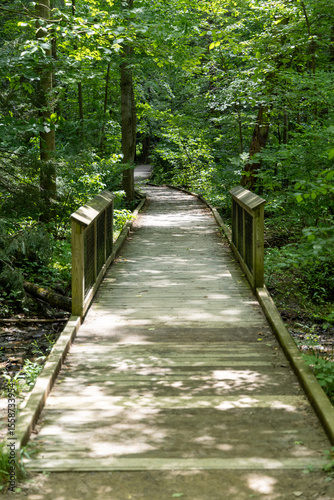 wooden bridge in the forest along city urban walking trail 