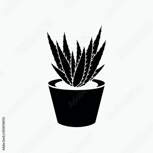 Aloe Vera Icon.  Herb, Plant. Cactus