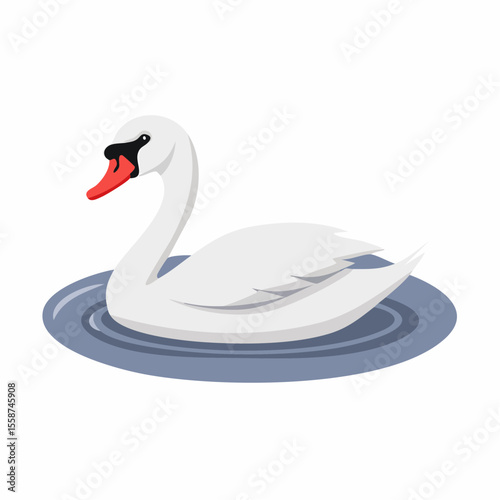 swan on the water