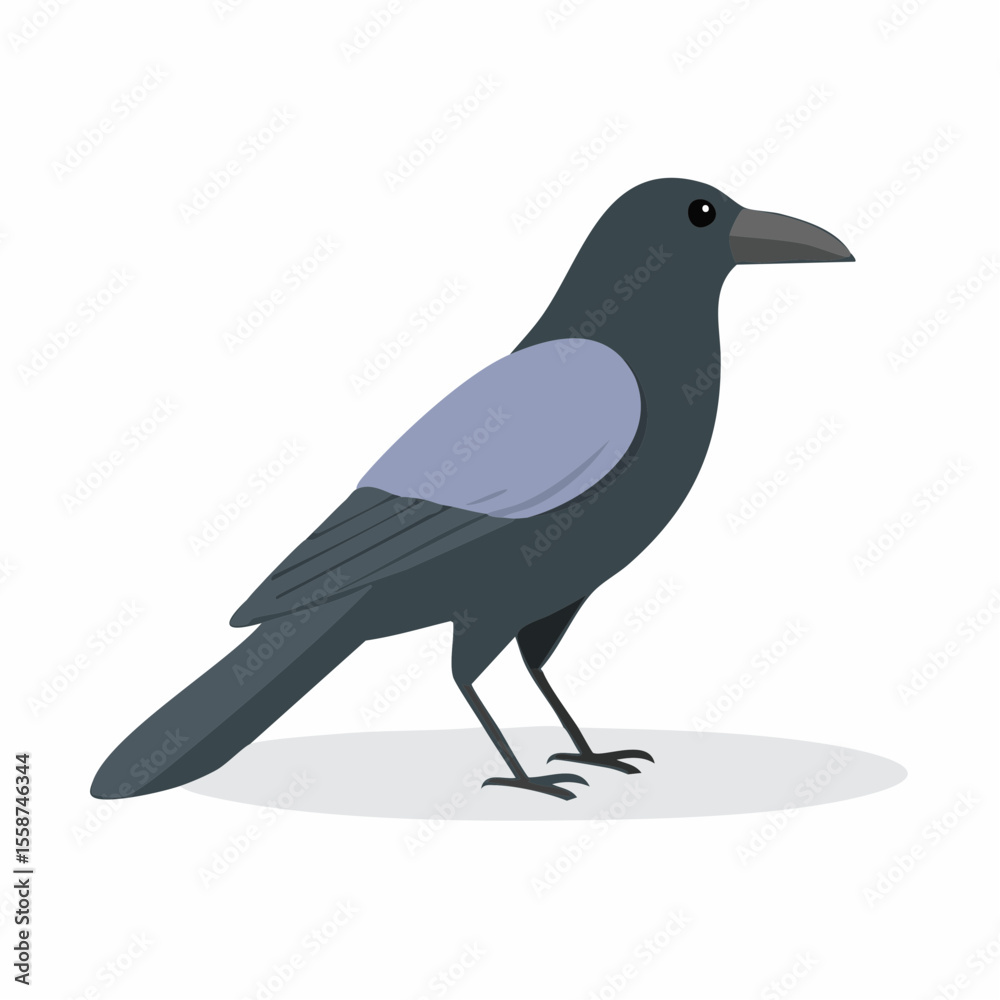 Obraz premium crow on a white background