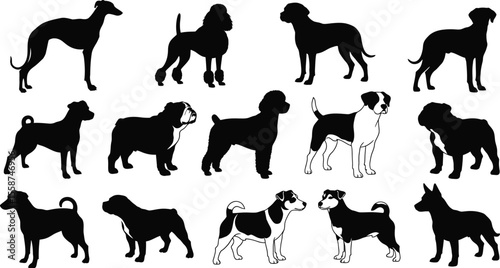 Various dog breed silhouettes arranged in a grid on a white background showing different poses and sizes