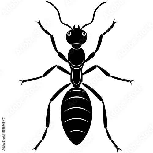 vector illustration of a ants Silhouette on white background