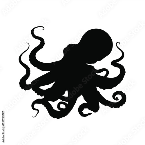 Octopus Silhouette Isolated on White Background
