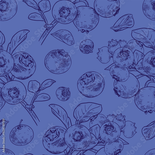 Hand drawn blueberries. Vector seamless pattern with a branch, leaves and berries. For kitchen design, food packaging, textiles.
