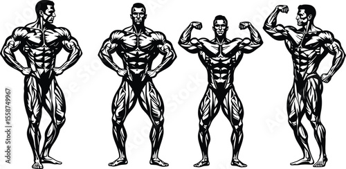 Four muscular men posing in black and white vector illustration with detailed muscle definition style