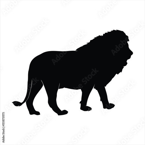 lion Silhouettes Isolated on White Background