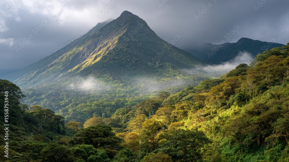 Fototapeta premium Lush rainforest and towering volcano at sunrise.