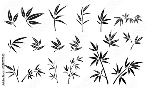 Bamboo branches and stems silhouettes. Bamboo trunk, branches and leaves. Vector illustration eps 10