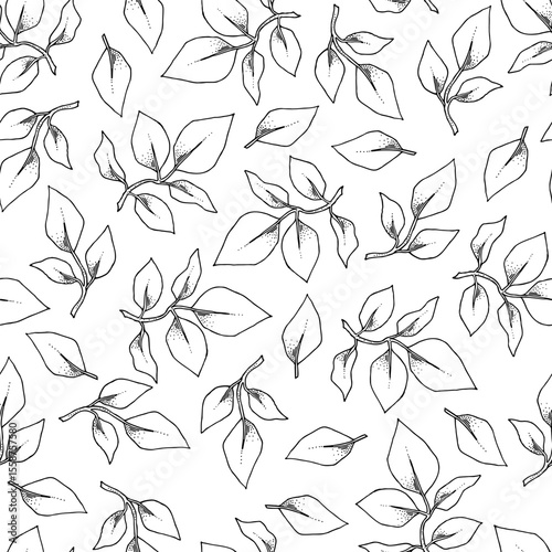 Vintage seamless pattern. Floral black and white background. Garden flowers roses.