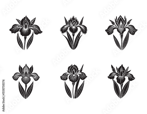 Stylized black iris flower isolated on white background